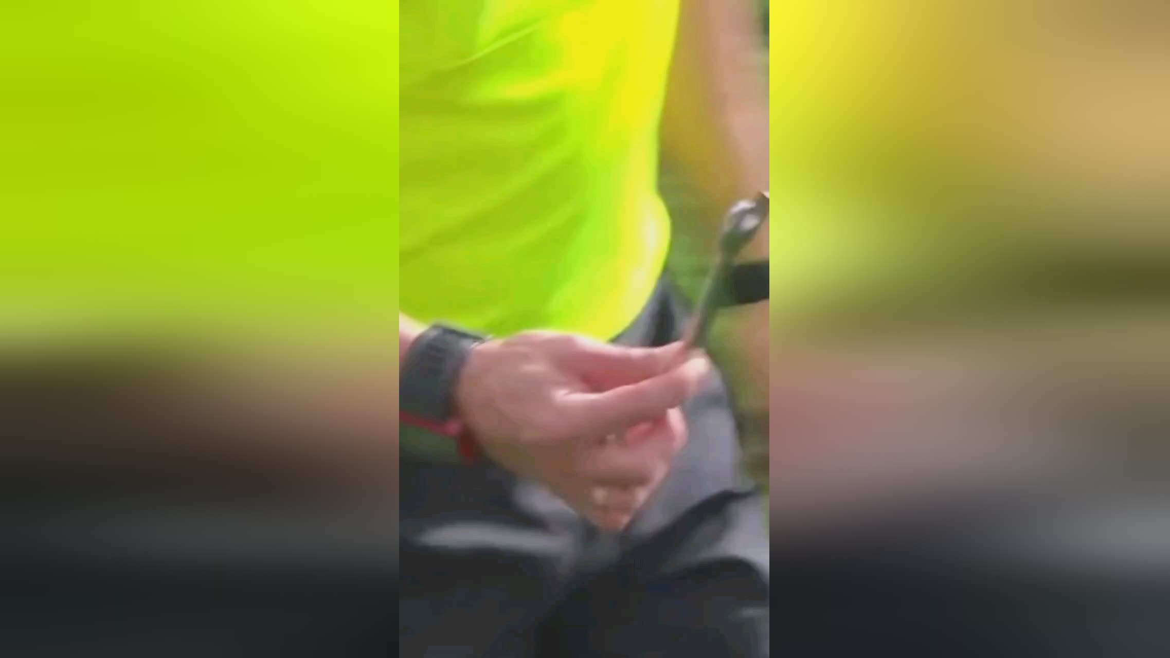 费者的