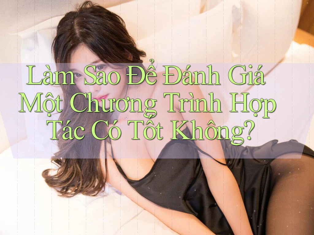 Làm Sao Để Đánh Giá Một Chương Trình Hợp Tác Có Tốt Không?