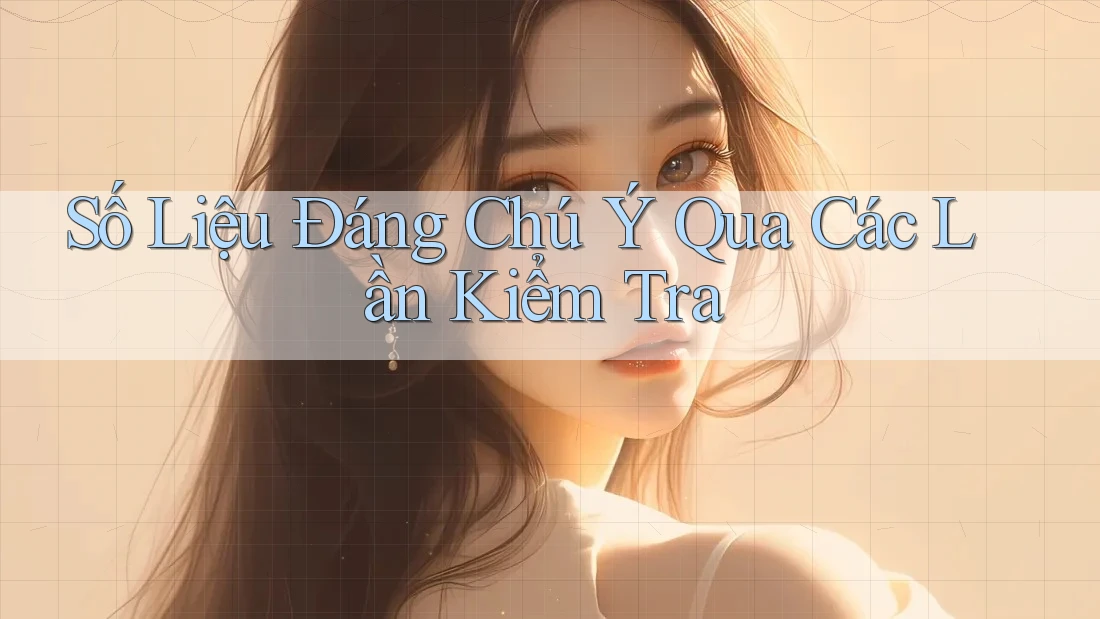 Số liệu đáng chú ý qua các lần kiểm tra Số liệu đáng chú ý qua các lần kiểm tra